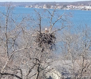 Grand Point - Residential