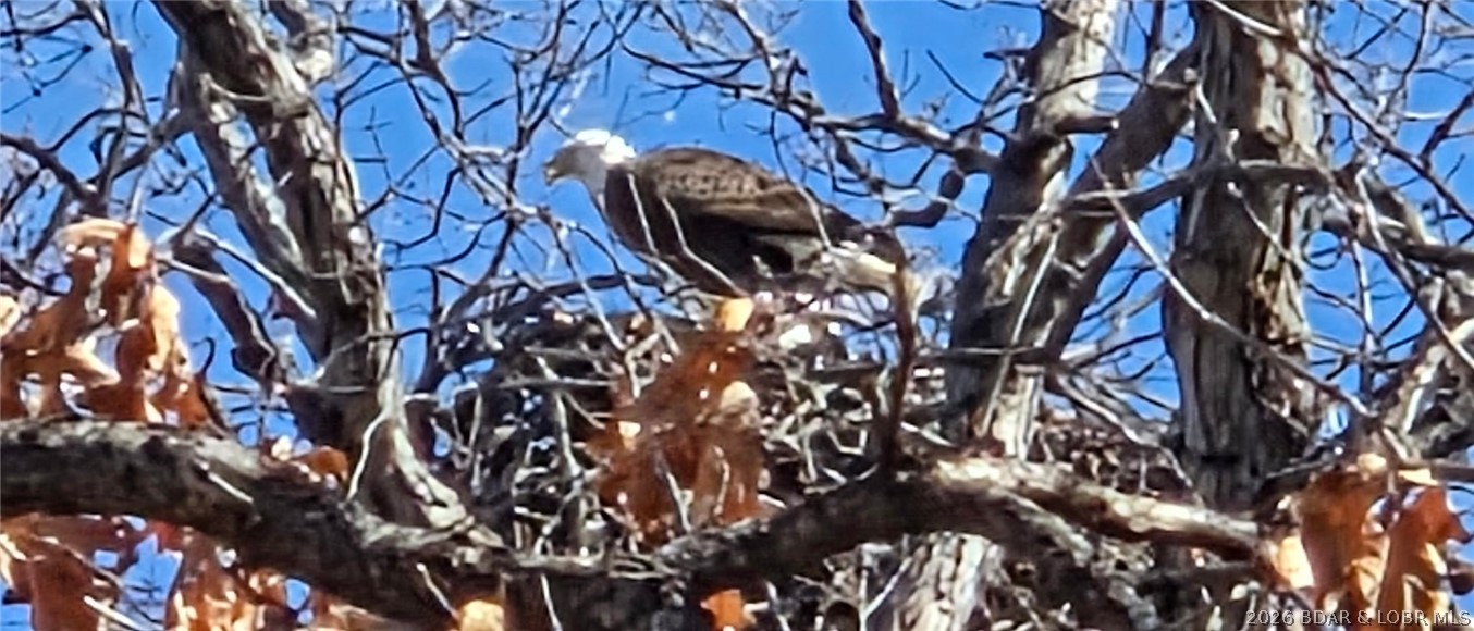 Grand Point - Residential