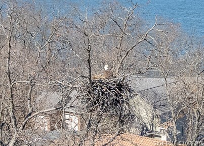 Grand Point - Residential