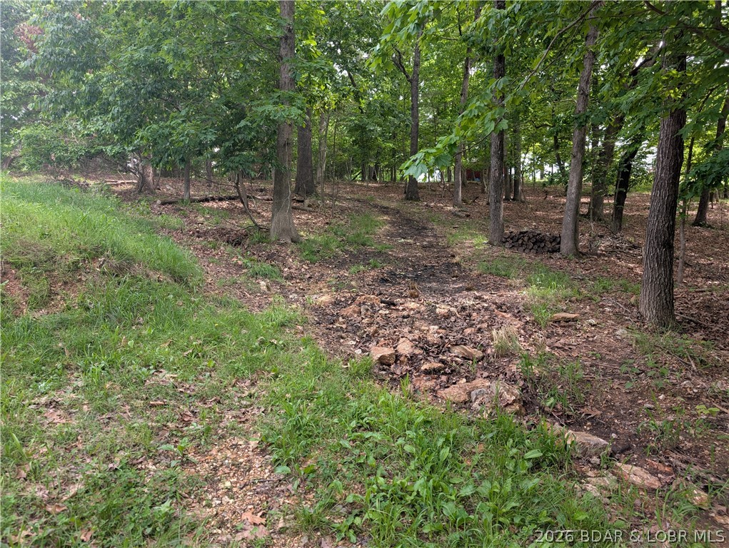 Cinnamon Hollow - Residential