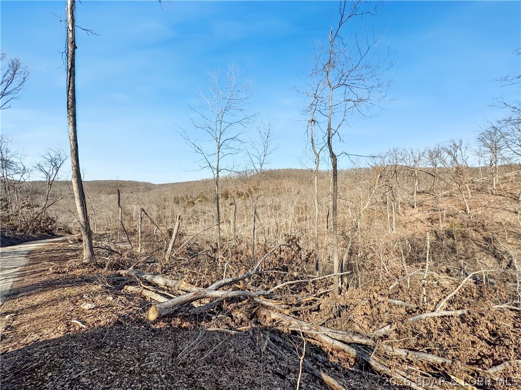Wolf Pen Hollow - Land