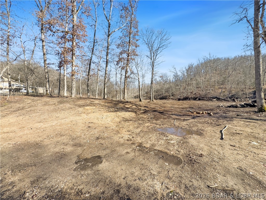 Wolf Pen Hollow - Land