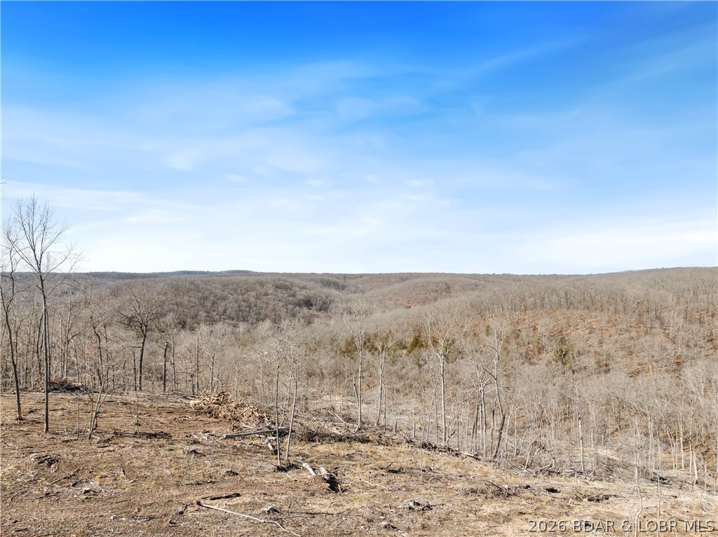 Wolf Pen Hollow - Land