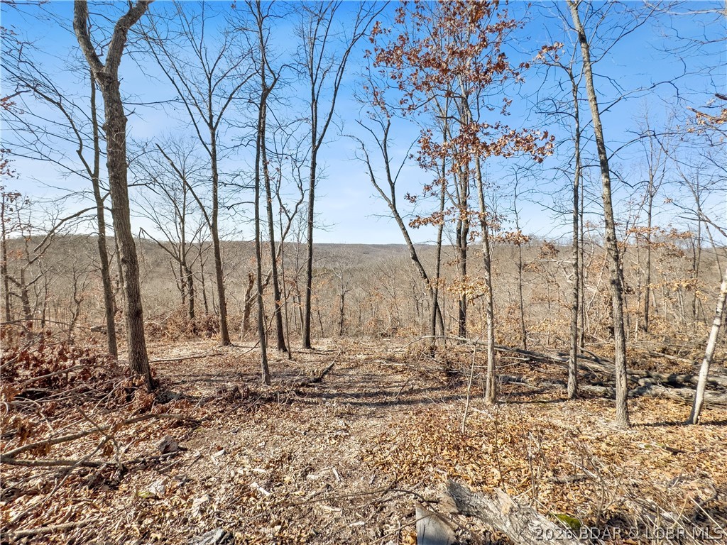 Wolf Pen Hollow - Land