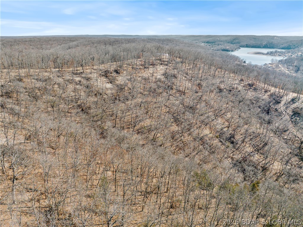 Wolf Pen Hollow - Land