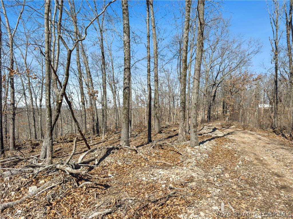 Wolf Pen Hollow - Land