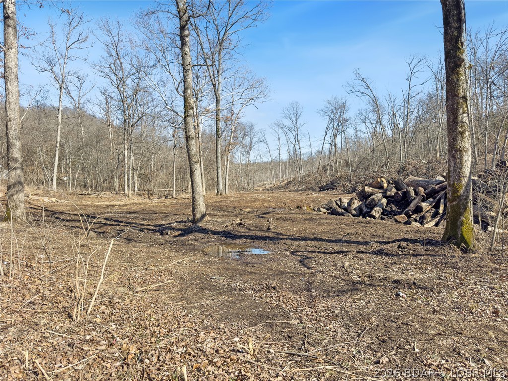 Wolf Pen Hollow - Land