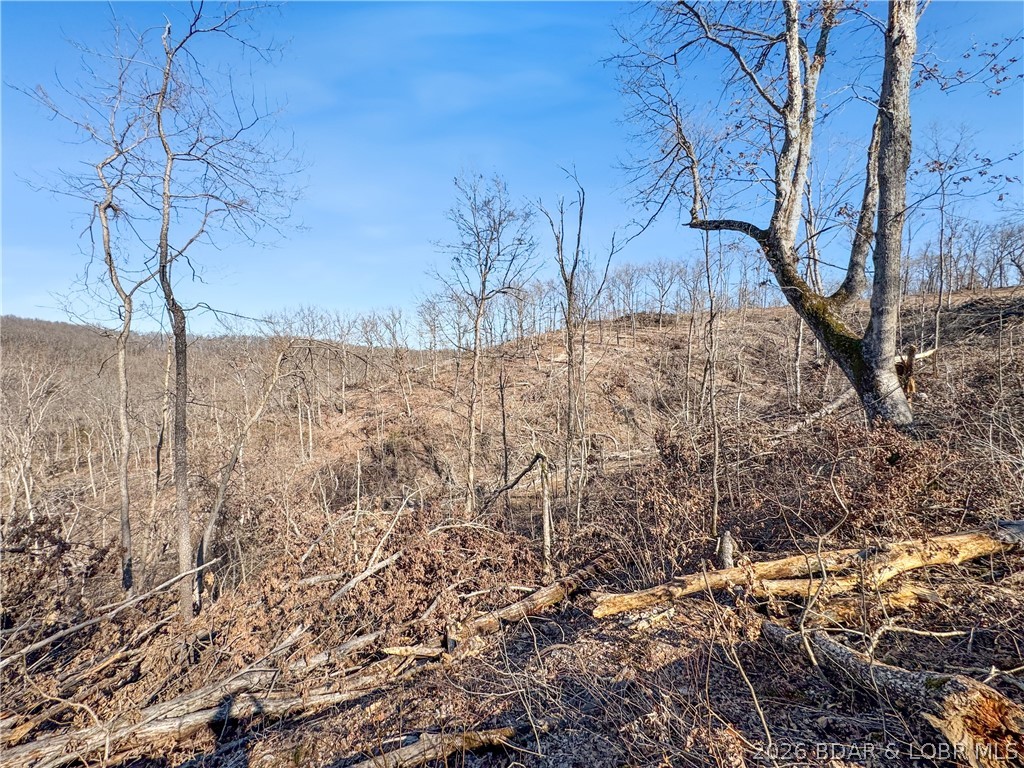 Wolf Pen Hollow - Land