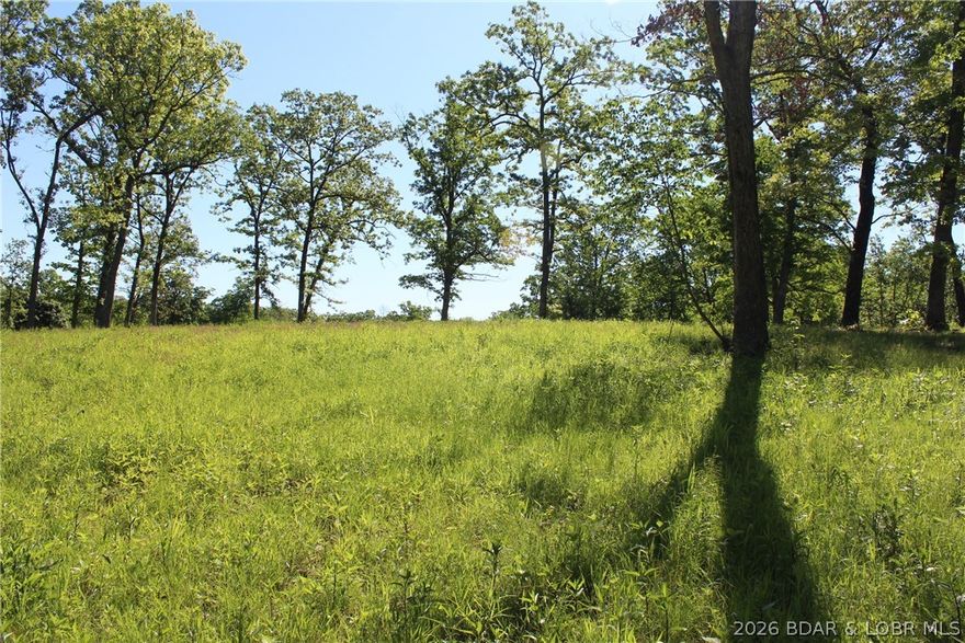 Prime golf course building site offering approximately 1.1 acres with beautiful views of the green on Hole 1 in Indian Rock Estates. This gently sloping property sits just off the green, providing scenic golf course views and a peaceful, park-like setting—perfect for your dream home.  The land is cleared and ready to build, with city water, sewer, electric, and high-speed internet available. Enjoy the benefits of a well-maintained community with HOA amenities and no city fees.  Conveniently located just 6 minutes from Millstone Marina for quick access to the Lake of the Ozarks, and only 1 minute from the local movie theater, this property offers the ideal balance of relaxation and convenience.  An excellent opportunity to own a spacious golf course homesite at an attractive price.