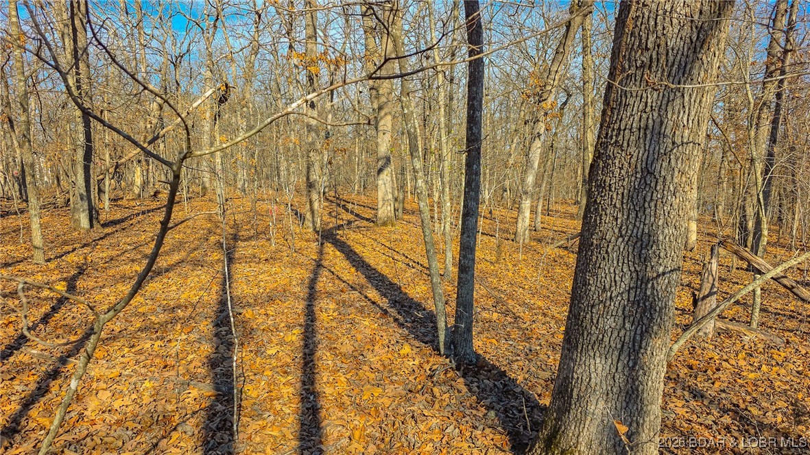 Grand Point No. 2 - Land