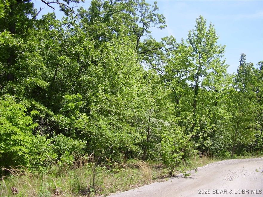 Great Building Lot in nice Subdivision located close to Camdenton Schools and behind the Camdenton Public Library. Only 4 Lots remaining. There is Community Water, Central Septic and Electric hookups. Great location close to Town, Shopping, Restaurants & Medical.