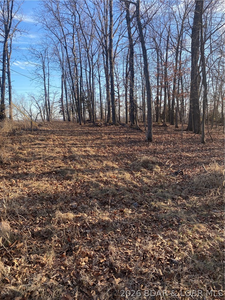 Horseshoe Bend # 8 - Land