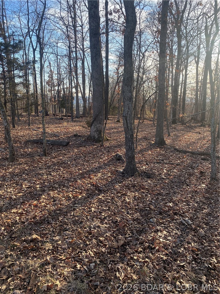 Horseshoe Bend # 8 - Land