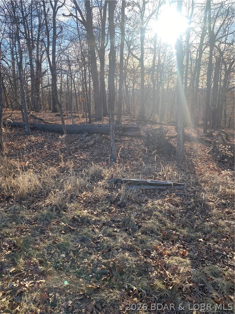 Horseshoe Bend # 8 - Land