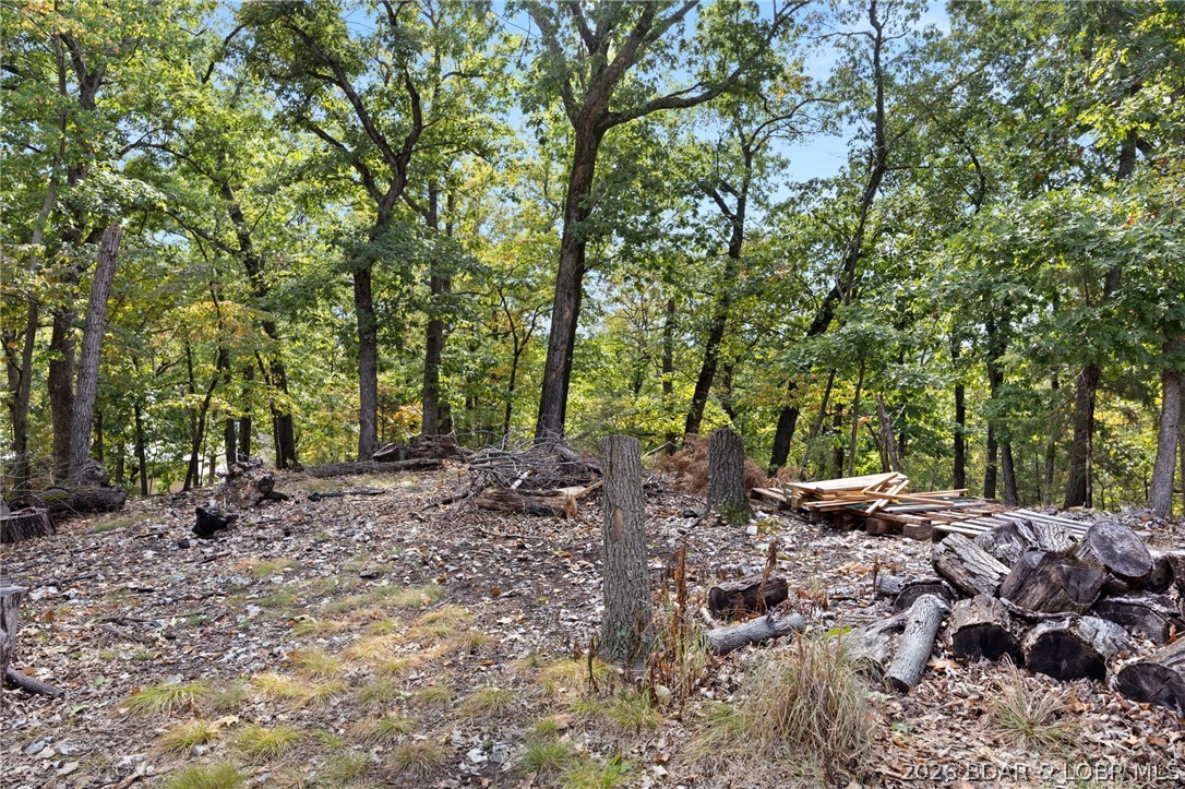 Horseshoe Bend # 8 - Residential