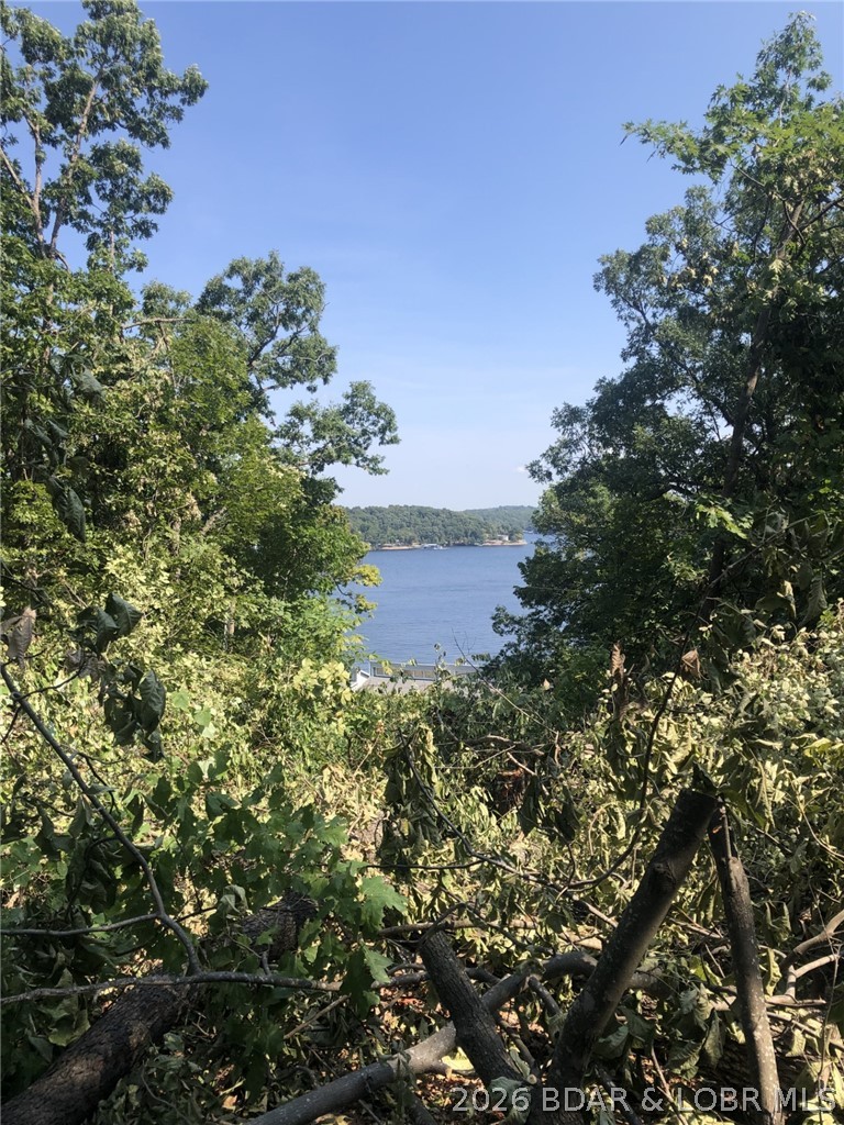 Horseshoe Bend # 8 - Residential