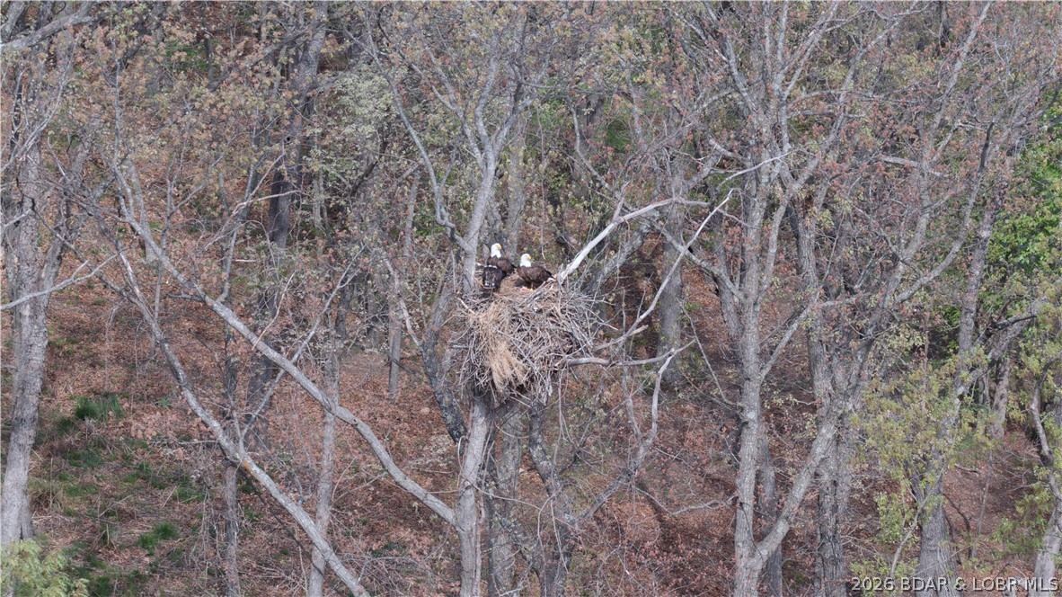 Champions Run - Residential