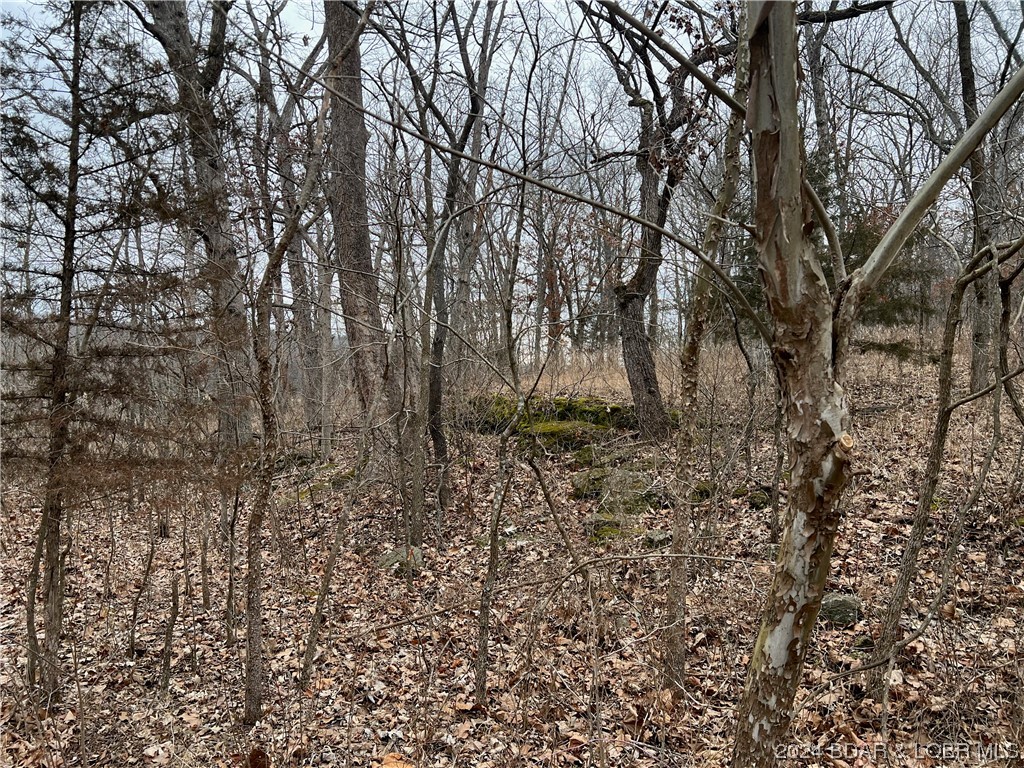 Edwards, Missouri 65326, United States, ,Land,Pending,64199