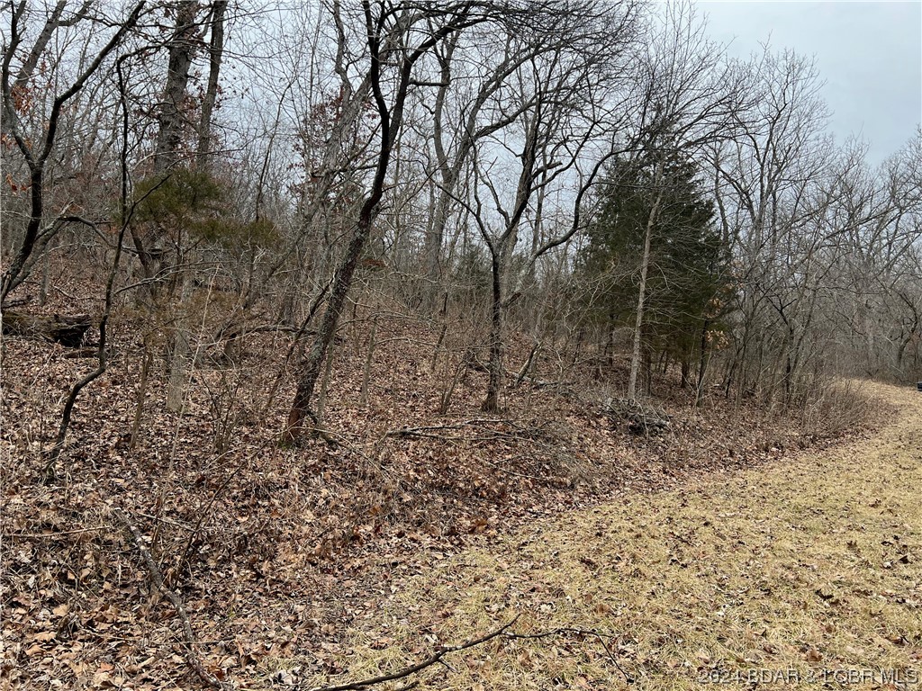 Edwards, Missouri 65326, United States, ,Land,Pending,64199