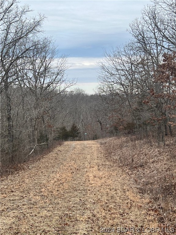 Edwards, Missouri 65326, United States, ,Land,Pending,64199