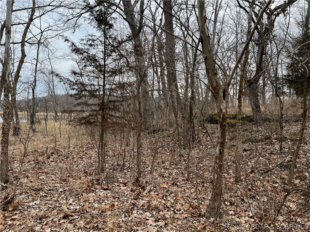 Edwards, Missouri 65326, United States, ,Land,Pending,64199