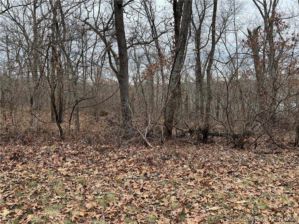 Edwards, Missouri 65326, United States, ,Land,Pending,64199