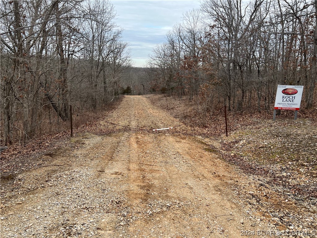Edwards, Missouri 65326, United States, ,Land,Pending,64199