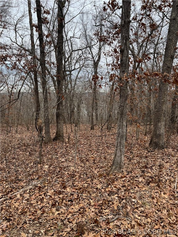 Edwards, Missouri 65326, United States, ,Land,Pending,64199