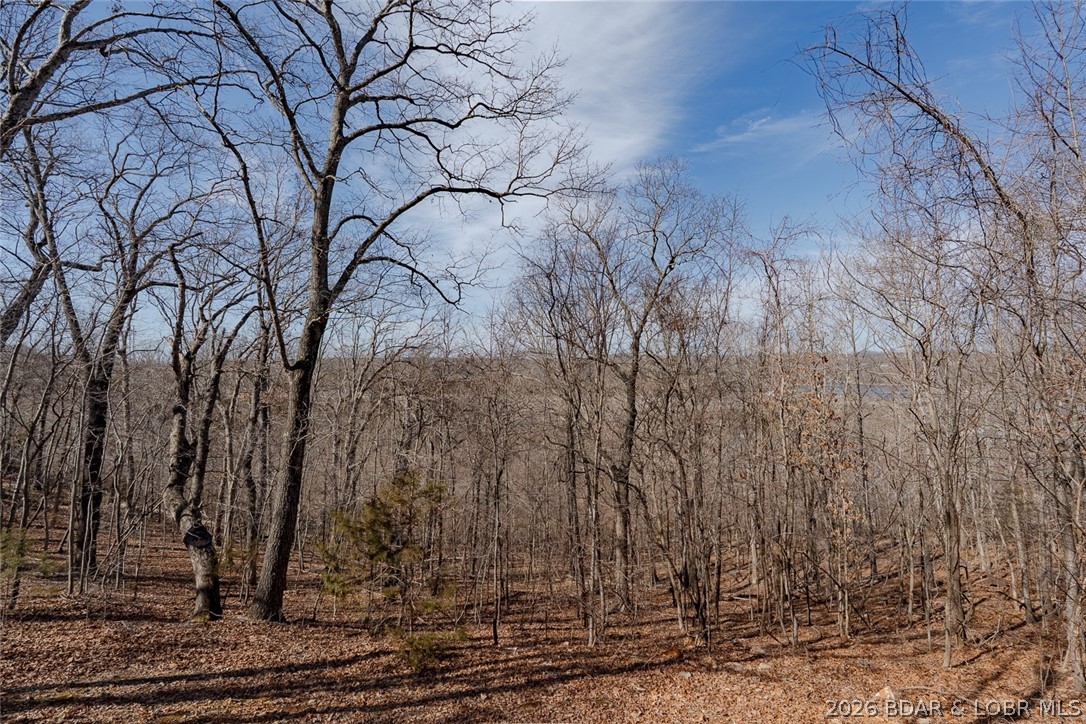 Niangua View - Residential