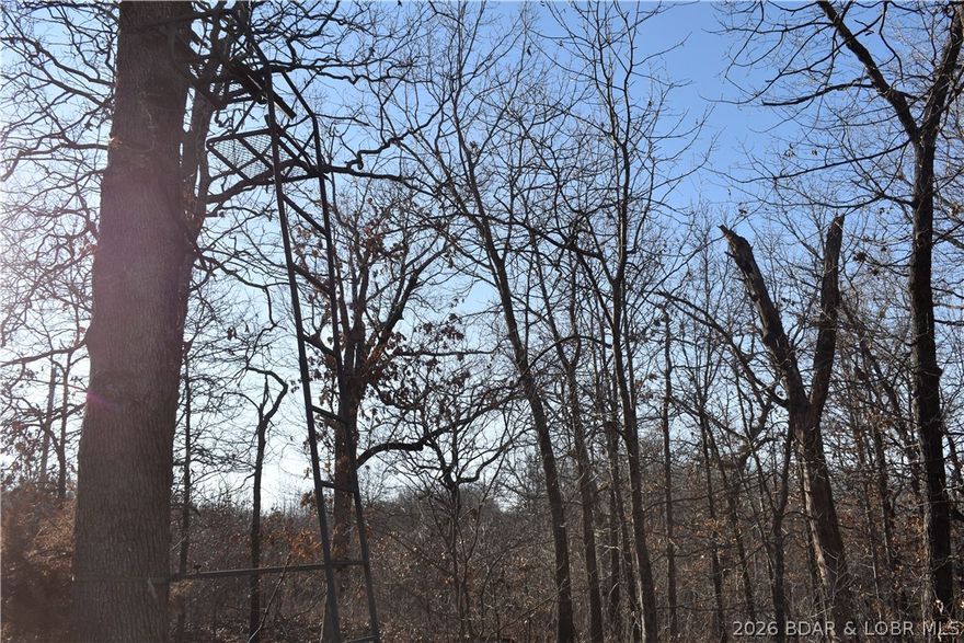 Tucked away at the end of a quiet lane, this remarkable 35-acre retreat captures the timeless beauty of the Missouri Ozarks. Rolling hills blanketed in mature hardwoods offer privacy, serenity, and a setting that feels untouched and peaceful. Wildlife thrives here. Deer move gracefully through the timber, wild turkey roam the ridges, and nature provides a quiet backdrop year-round. Whether you envision a private hunting retreat, a secluded homestead, or a weekend escape, multiple scenic building sites provide the perfect foundation for your dream home, cabin, or weekend getaway. Just minutes away lies Lake of the Ozarks -- one of the Midwest's premier recreational destinations. With over 1,100 miles of shoreline, the lake offers boating, fishing, waterfront dining, golf courses, marinas, and endless summer activities. Spend your days on the water and your evenings enjoying the privacy and stillness of your own wooded sanctuary. Here, you truly have the best of both worlds: peaceful acreage and convenient access to vibrant lake life. Private. Scenic. Unmatched Ozarks beauty. This is more than land--it's a lifestyle waiting to be built.