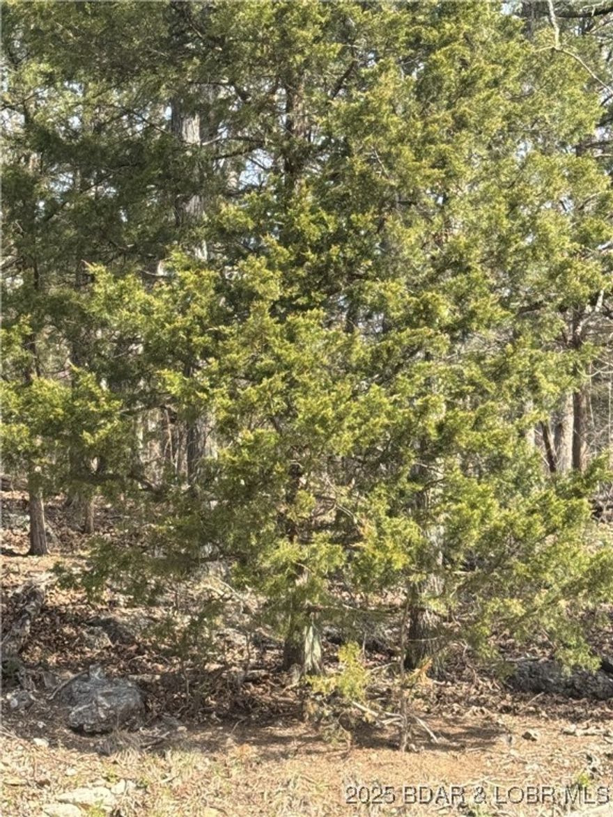 Motivated Seller! Welcome to an exceptional opportunity to build your dream home in one of the lake areas prestigious subdivisions. This property is minutes away from local restaurants, Bagnell Dam, Golf Courses, and much much more. The amenities includes boat ramps, indoor/outdoor pools, fishing lakes, campground, walking/bike trails, club house, and playgrounds. Dog park nearby.