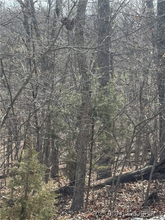 Cornett Cove No. 2 - Land