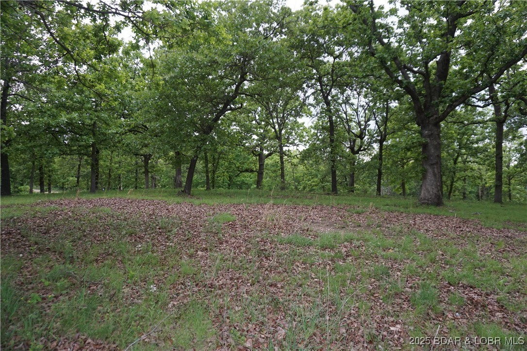 Forbes Lake of the Ozarks - Residential