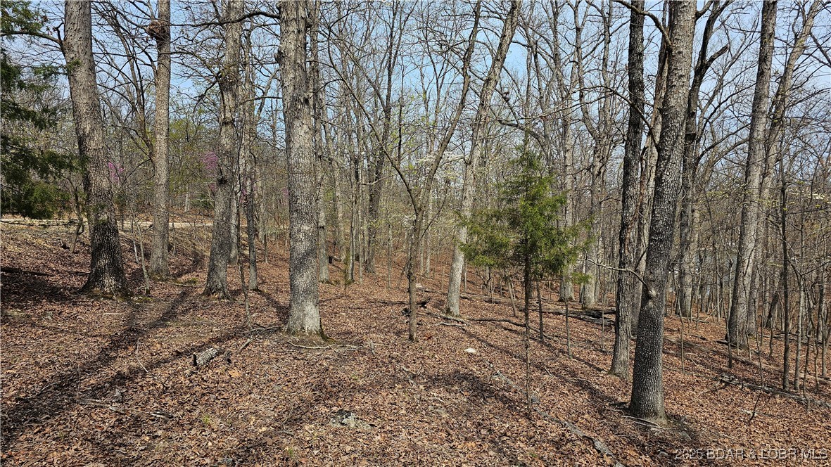 Grand Point No. 2 - Land