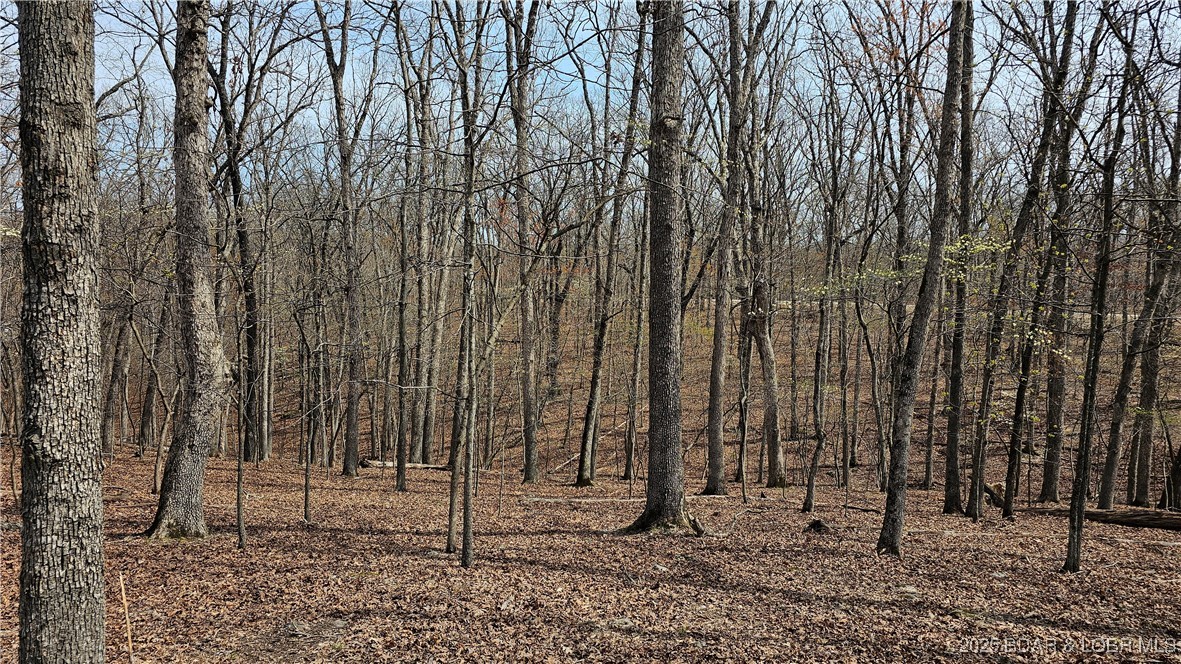 Grand Point No. 2 - Land