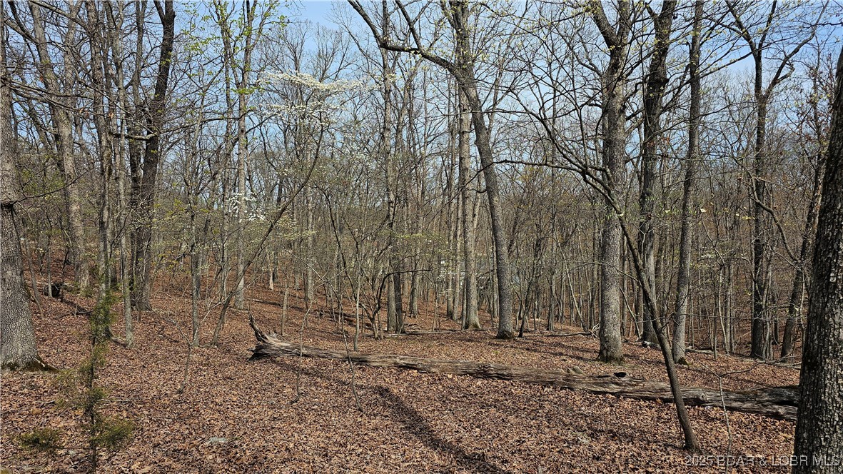 Grand Point No. 2 - Land