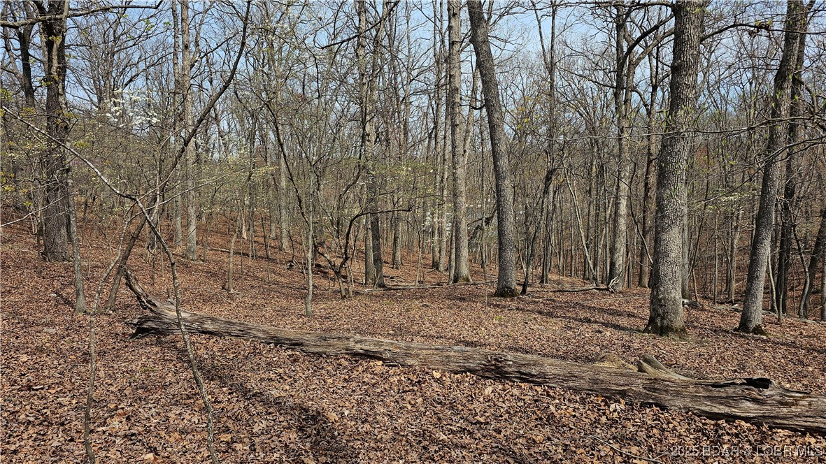 Grand Point No. 2 - Land