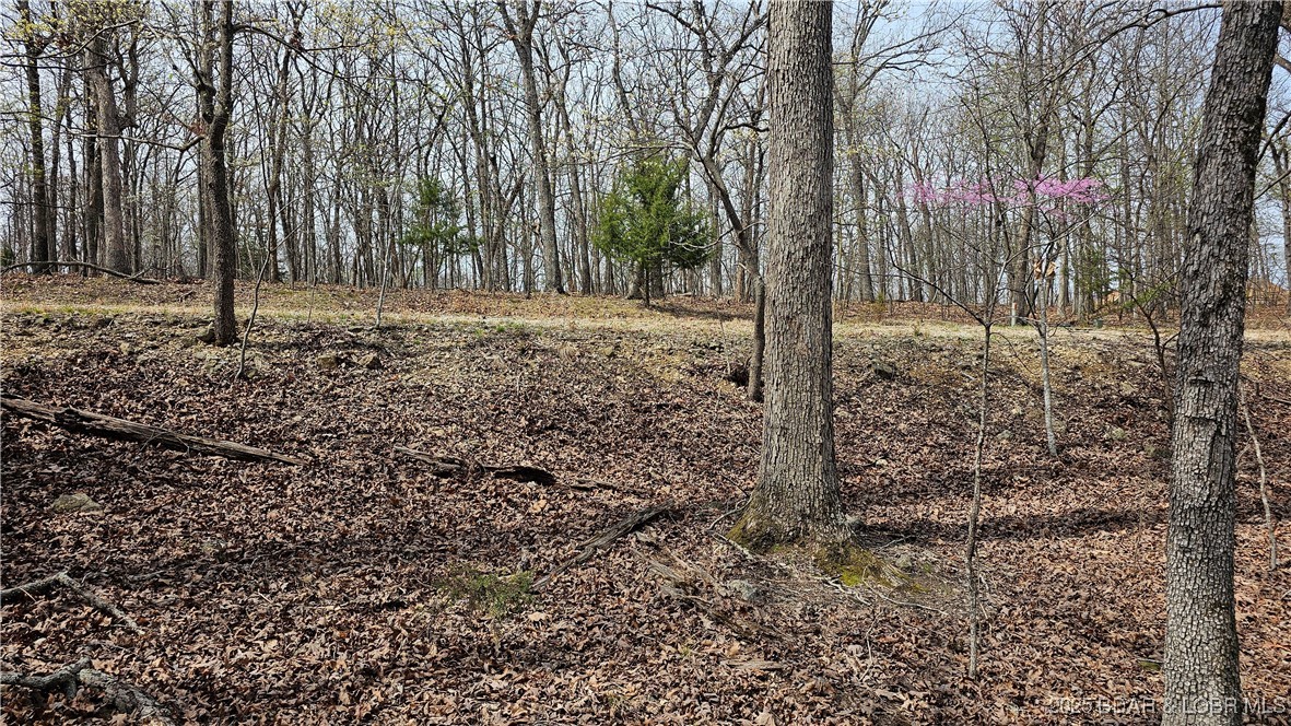 Grand Point No. 2 - Land