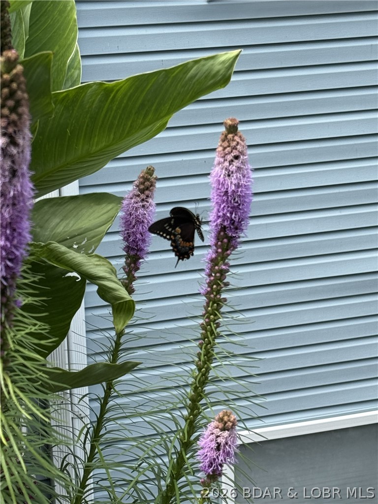 Shores Of Camelot Condominiums - Residential