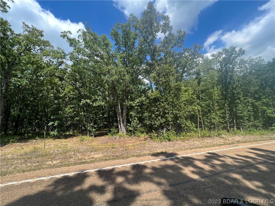 3 Acre tract with 156ft of Hwy 135 frontage. Lot lays very well and is located across the street from the Loop off Rd Park. Excellent spot to build your dream home or develop to take advantage of the race tract and off rd park. Ten lots to choose from all 3+/- acres.
Come pick out your spot today!