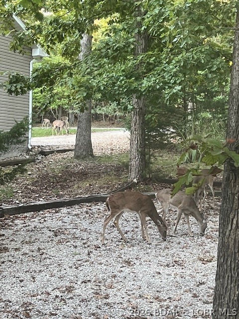 Kays Point #1 - Residential