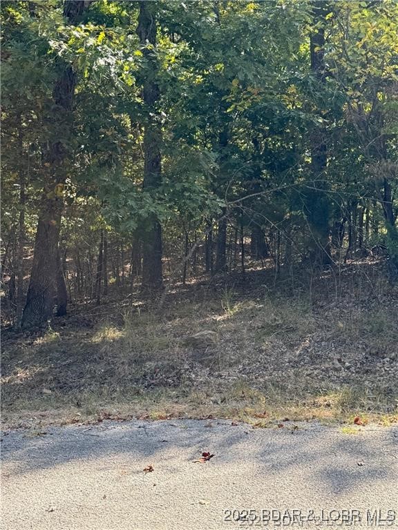 Cornett Cove No. 5 - Land