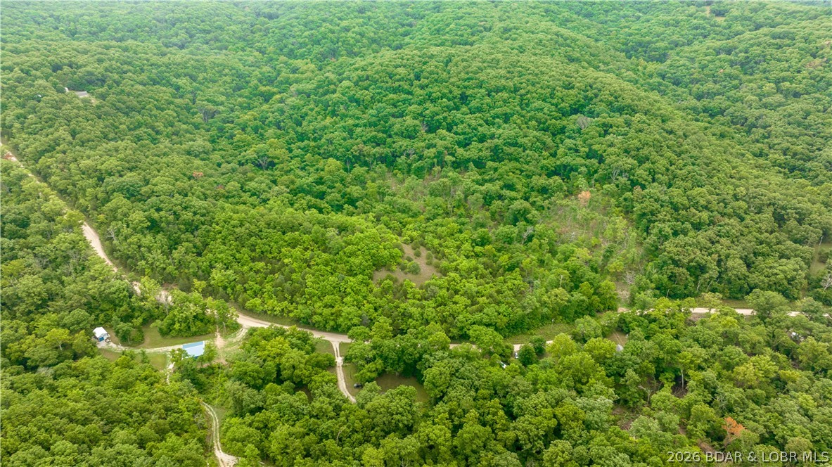 Wolf Pen Hollow - Land