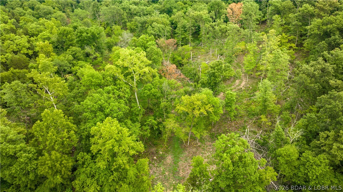 Wolf Pen Hollow - Land