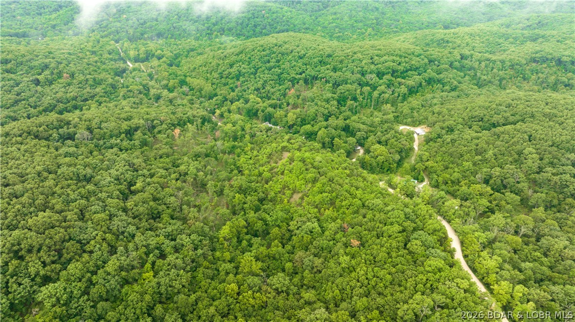 Wolf Pen Hollow - Land
