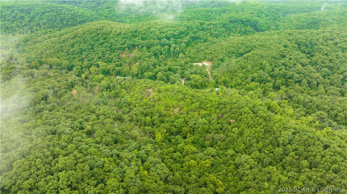Wolf Pen Hollow - Land