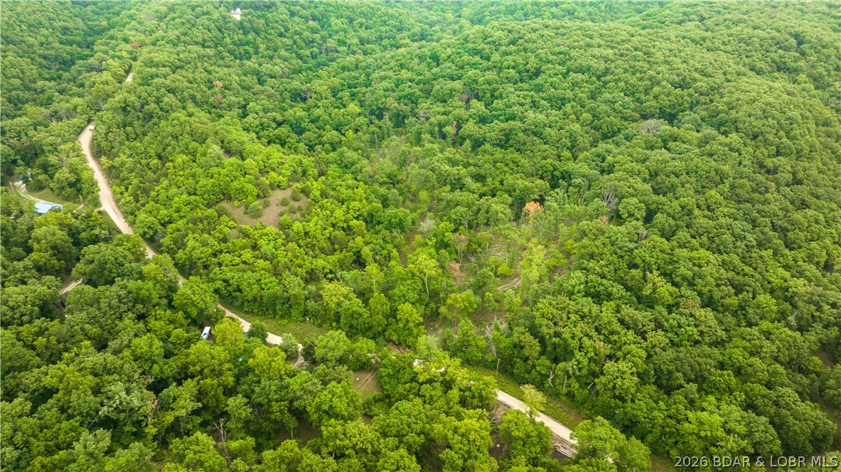 Wolf Pen Hollow - Land