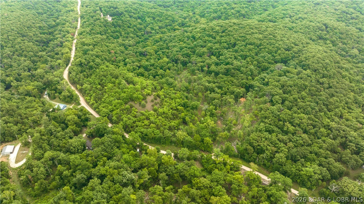 Wolf Pen Hollow - Land