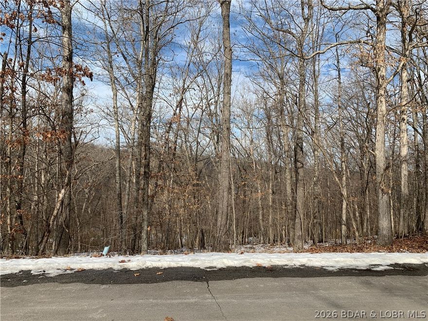 Great building lot in Osage National Golf Community.  Views of the course, surrounded by beautiful homes in the neighborhood.  This is a great place to live full time with a family oriented subdivision.  Golf cart accessible to the club house and pool.