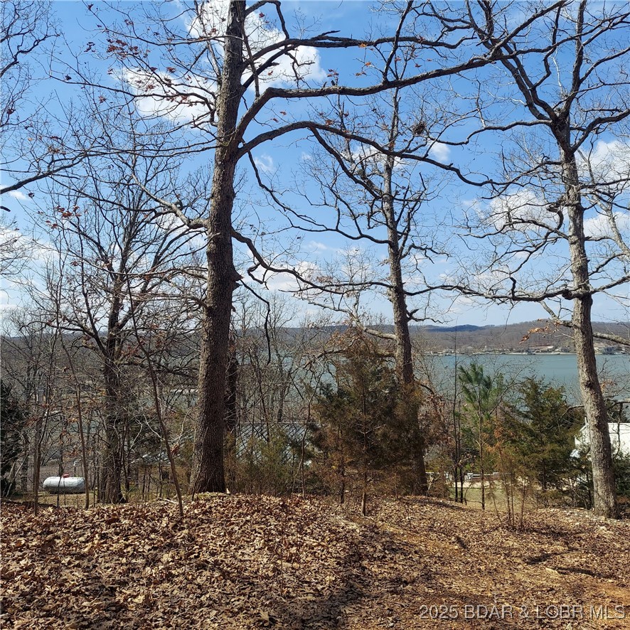 Oak Ridge Heights - Residential